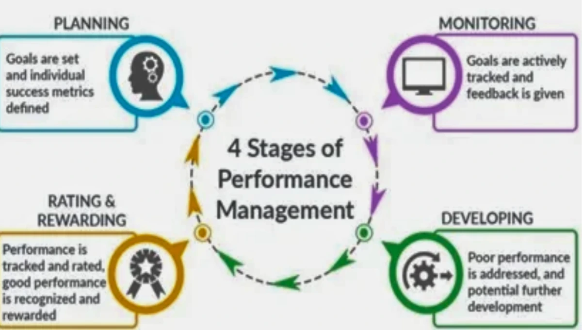 Harnessing Employee Potential: Strategies for Effective Talent Management