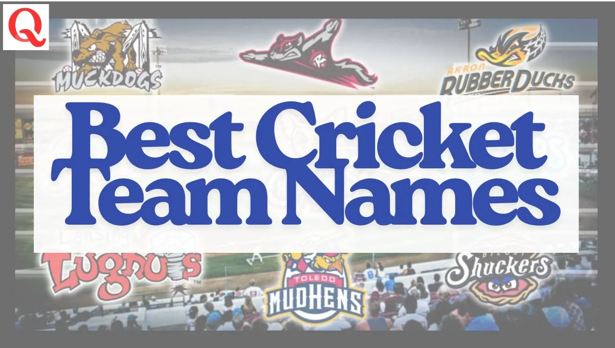 Best Cricket Team Names: Creative, Powerful & Memorable Ideas